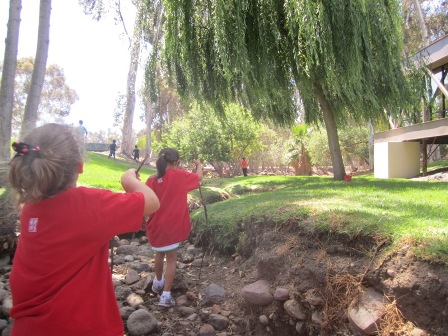 Nature Walk